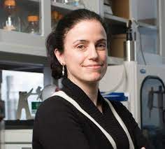 Elisa E. Konofagou